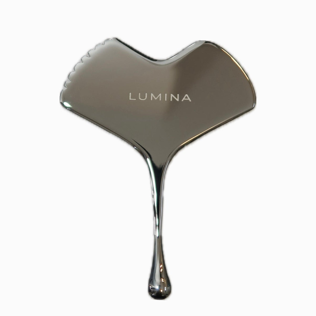 Rustfritt Stål Ginkgo Gua Sha